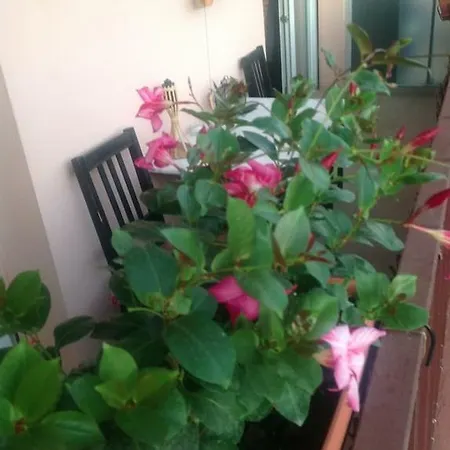 Appartement Les Cedres *